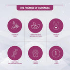 Lotus Herbals Cosmetics Radiant Platinum Cellular Anti Ageing Salon Grade Single Facial Kit