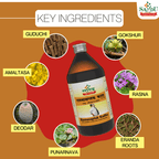 Sandu Ayurvedic Rasnasaptak Kadha Liquid 450ml