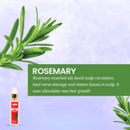 Bakson's Sunny Herbals Jaborandi Hair Serum Oil 100ml