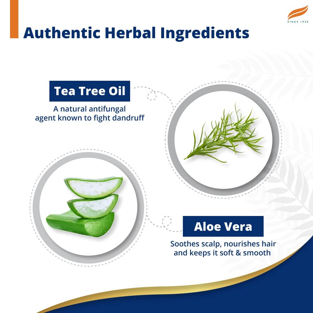 Himalaya Herbals Anti Dandruff Tea Tree Shampoo
