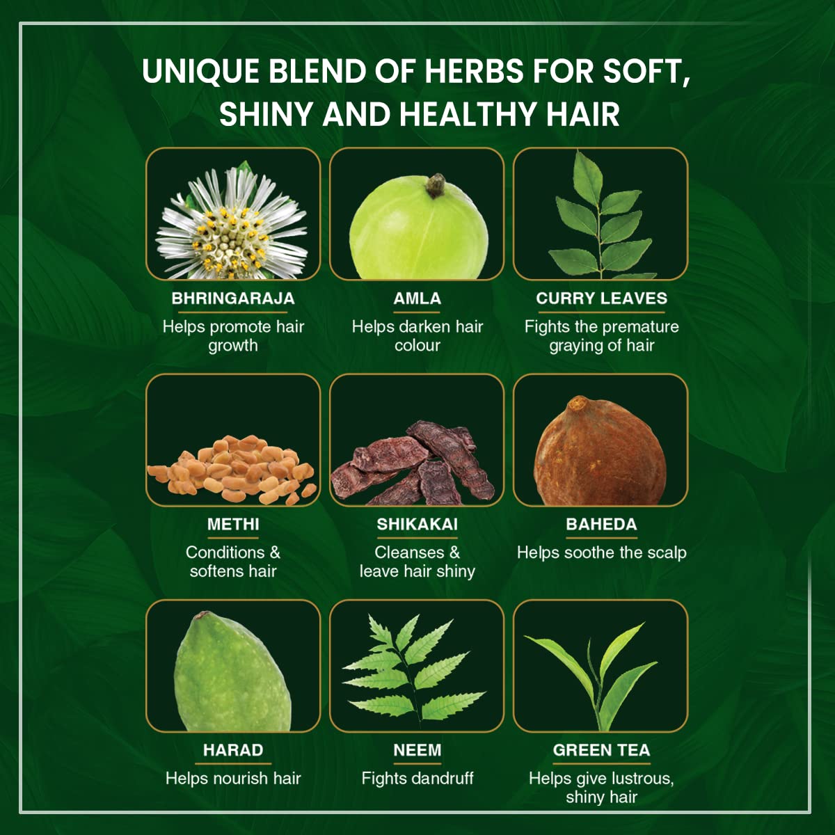 Himalaya Herbals Natural Shine Henna Hair Powder