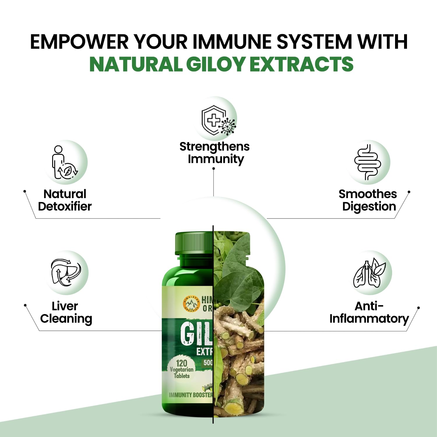 Himalayan Organics Giloy Extract 500mg Vegetarian 120 Tablets