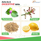 Dr Morepen Ayurvedic Liv Healthy Syrup 200 ML