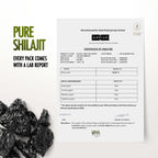 Kapiva Original Himalayan Shilajit/Shilajeet Resin 20g