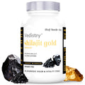 Vedistry Ayurvedic Shilajit Gold 60 Tablets