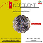 Sandu Ayurvedic Vanari Kalpa Herbal Granules Powder 200gm