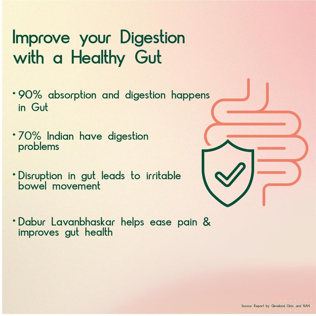 Dabur Ayurvedic Lavan Bhaskar Churna Powder 120gm