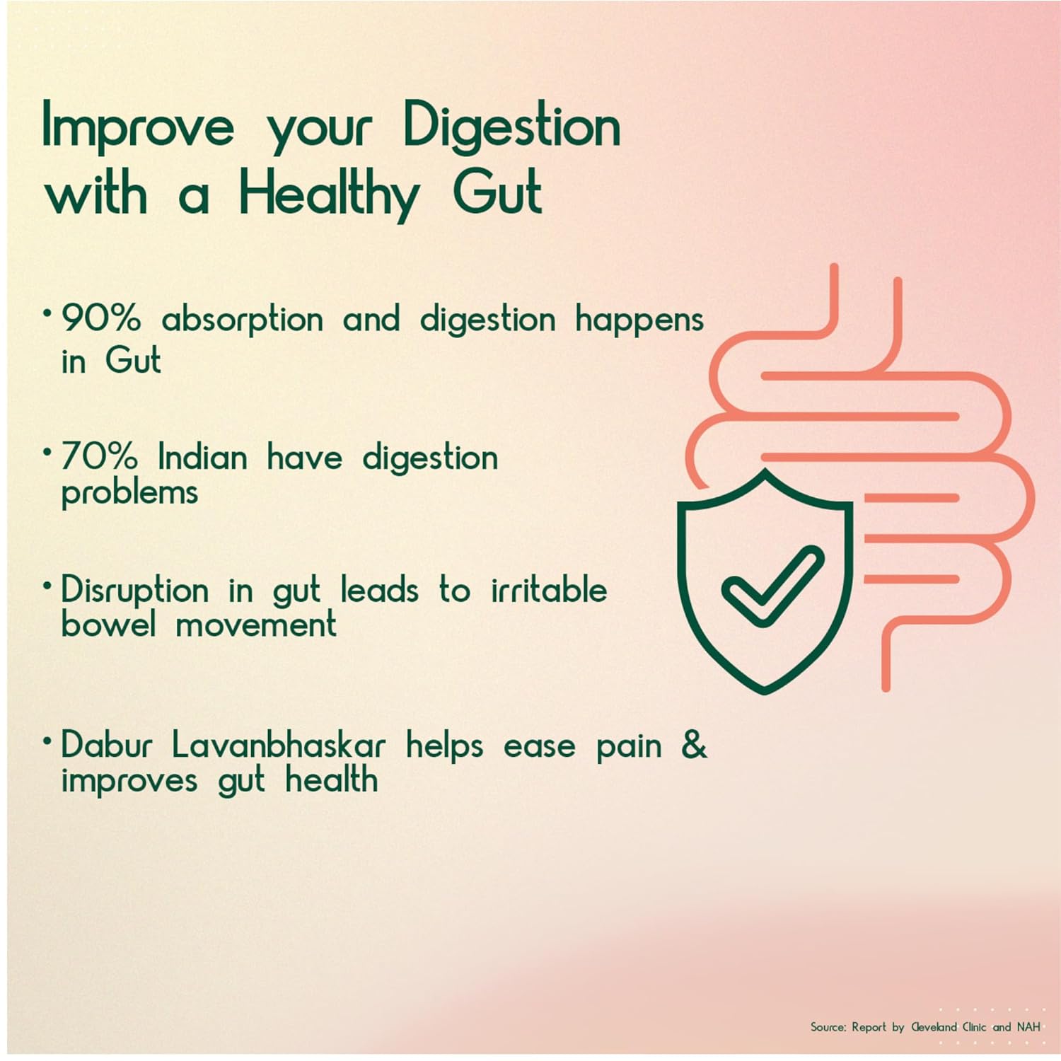 Dabur Ayurvedic Lavan Bhaskar Churna Powder 120gm