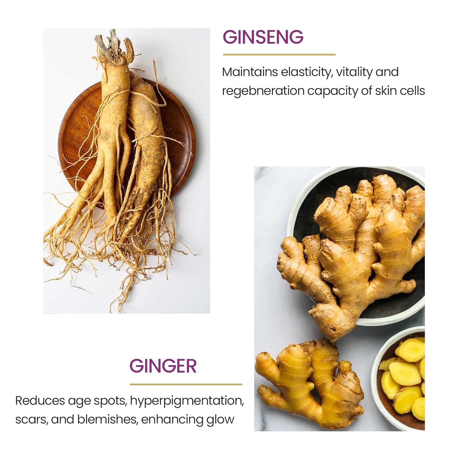 Lotus Herbals Cosmetics YouthRx Active Anti Ageing Exfoliator Cream 100g