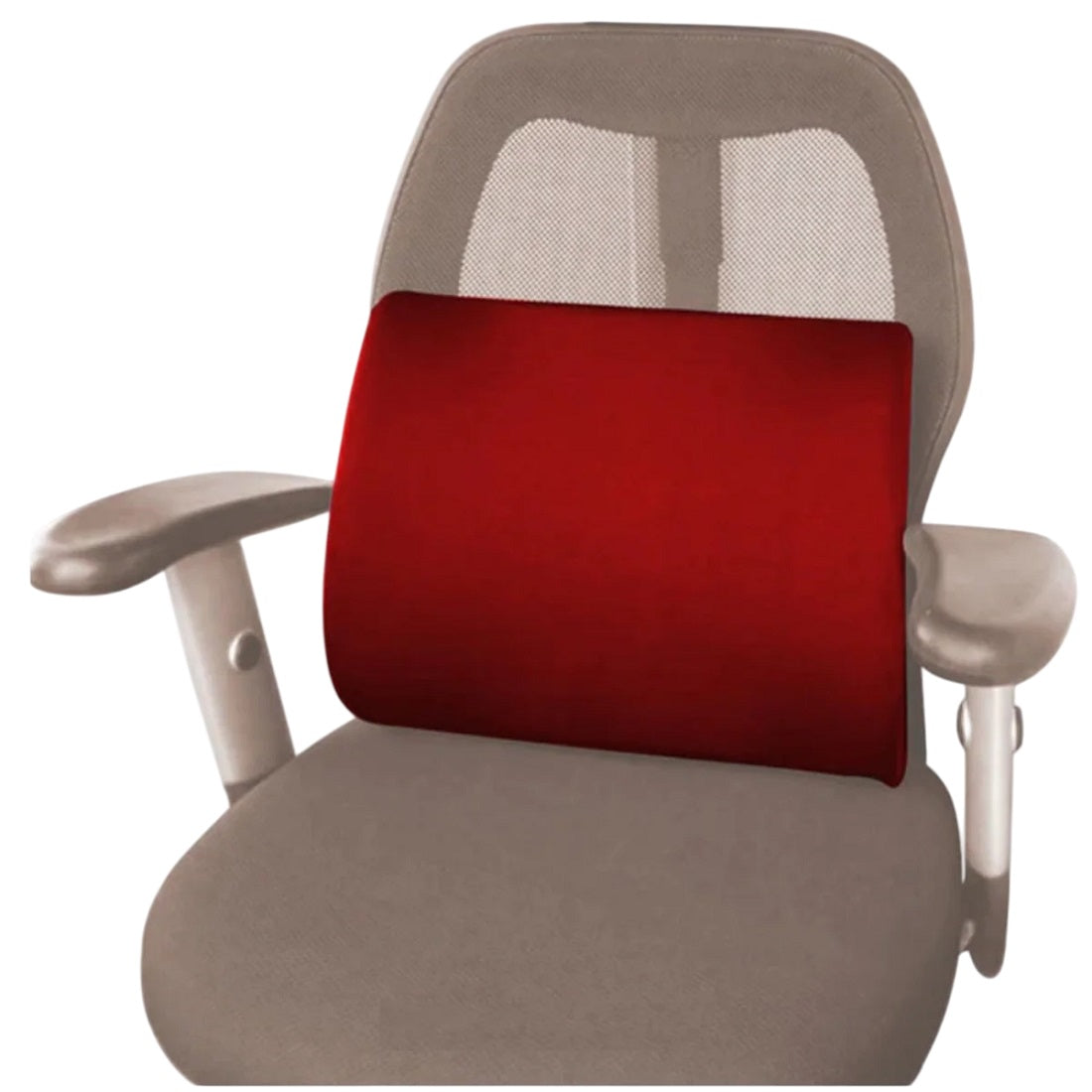 Flamingo Health Orthopaedic Foam Back Rest (Small) Type Cushion & Pillows Code 2181