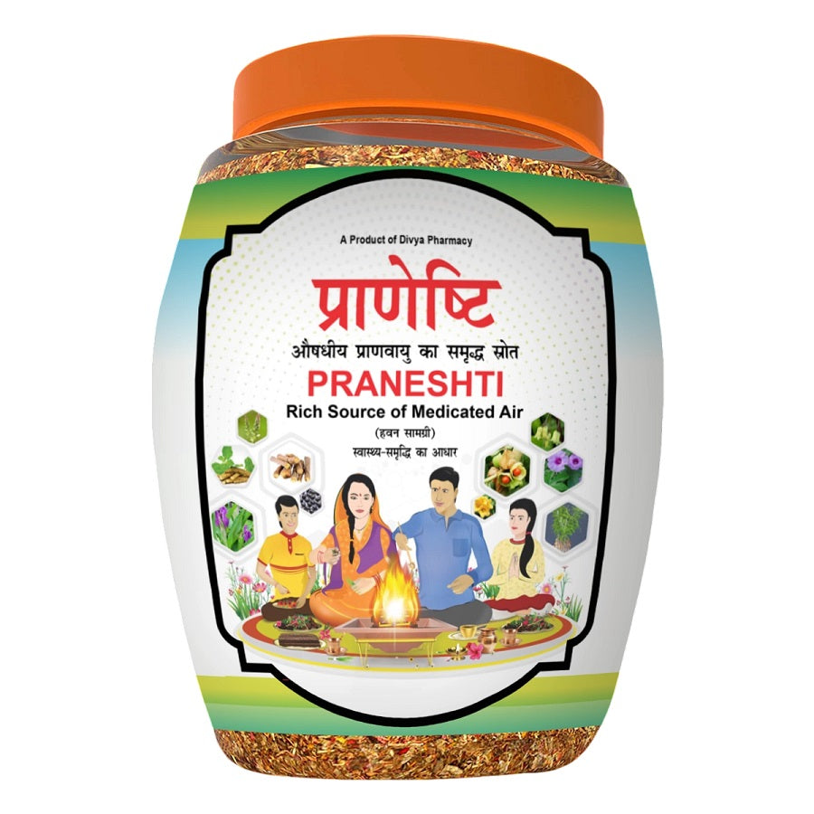 Patanjali Divya Praneshti Hawan Samagri 400g