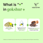 Vedistry Ayurvedic Gokshur+ 60 Tablets