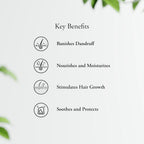 Sitaram Ayurveda Scurf Herbal Hair Oil 100ml