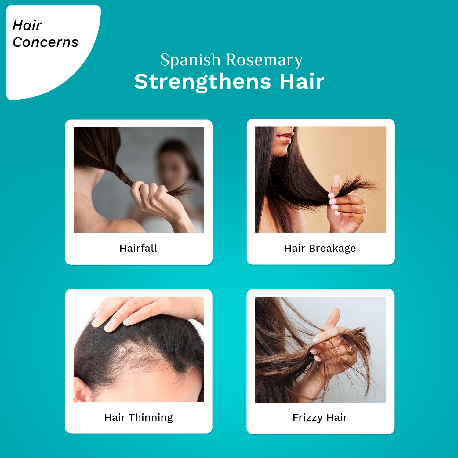 Pilgrim Cosmetics Spanish Rosemary & Biotin Anti-Hairfall Hair Mask 200gm